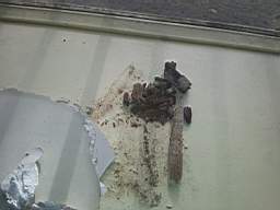 fkillineybeforeinternal 1350.jpg
